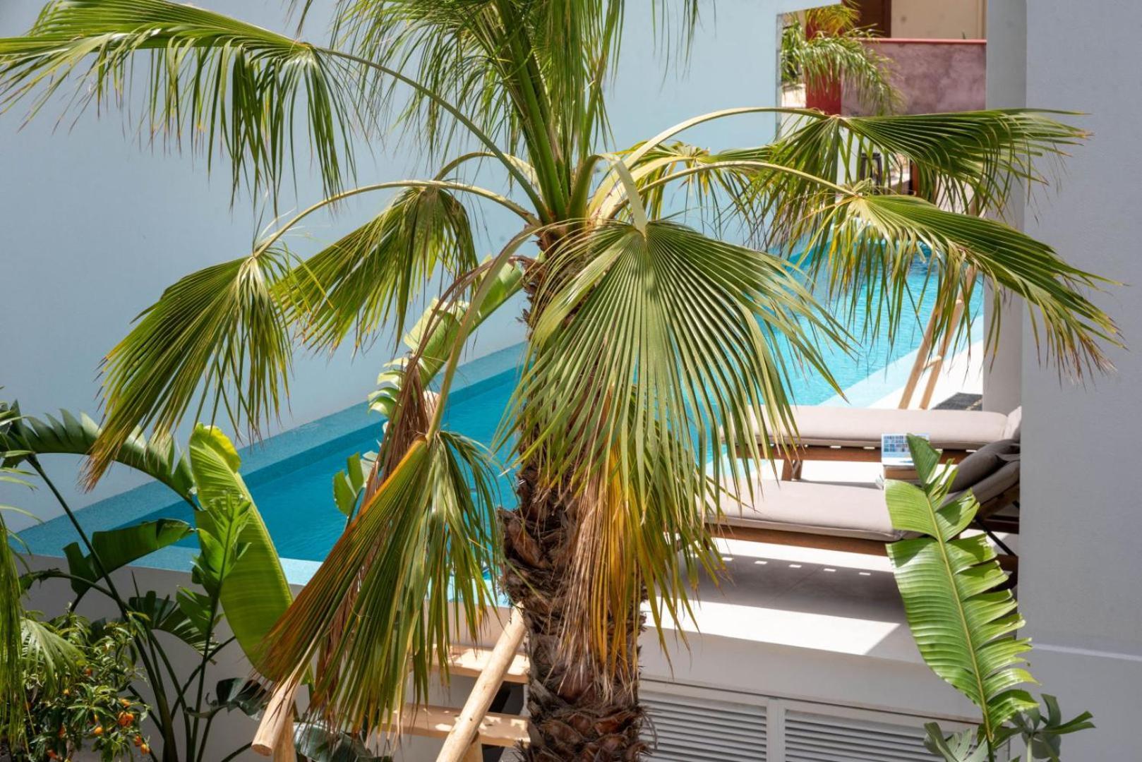 D Palm Premium Living - Kalathas, Chania خانيا المظهر الخارجي الصورة